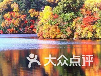 相差14岁，空姐凭什么拿下百亿天王潘玮柏？