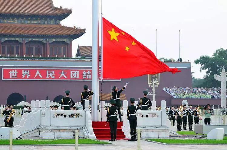 柯基犬为什么不吃狗粮？游戏画面
